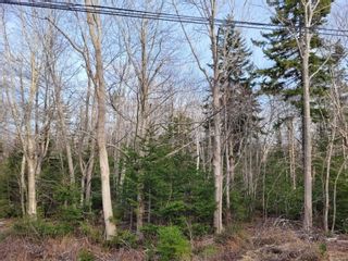 Photo 1: Lot Lighthouse Road in Bay View: 401-Digby County Vacant Land for sale (Annapolis Valley)  : MLS®# 202106948