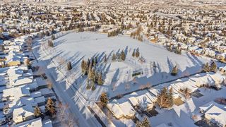 Photo 47: 104 Macewan Park Green NW in Calgary: MacEwan Glen Detached for sale : MLS®# A2014240