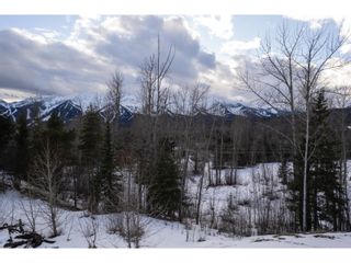 Photo 50: 18 SILVER RIDGE WAY in Fernie: Vacant Land for sale : MLS®# 2475007
