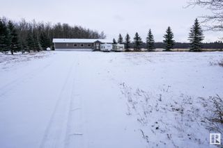 Photo 30: 461063 RGE RD 10: Rural Wetaskiwin County House for sale : MLS®# E4372280