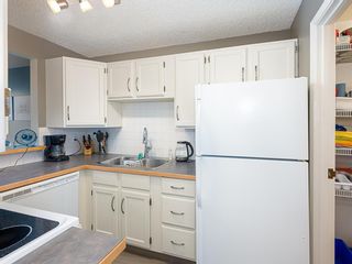 Photo 16: 509 8604 48 Avenue NW in Calgary: Bowness Apartment for sale : MLS®# A1240970