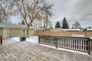 Photo 40: 5619 Ladbrooke Place SW in Calgary: Lakeview Detached for sale : MLS®# A1173178