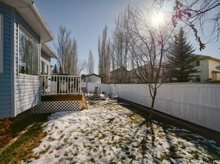 Photo 35: 262 Chaparral Court SE in Calgary: Chaparral Detached for sale : MLS®# A2119527