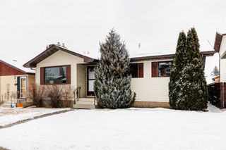 Photo 32: 36 Bearberry Crescent NW in Calgary: Beddington Heights Detached for sale : MLS®# A1188192