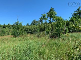 Photo 5: lot 22-4 little Harbour Road in Little Harbour: 108-Rural Pictou County Vacant Land for sale (Northern Region)  : MLS®# 202224609