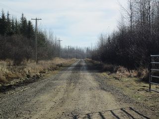 Photo 15: NW 24-54 RR 131: Niton Junction Rural Land for sale (Edson)  : MLS®# 32590