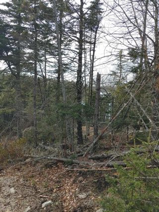 Photo 4: Lot AZ Mcgraths Cove Road in McGraths Cove: 40-Timberlea, Prospect, St. Marg Vacant Land for sale (Halifax-Dartmouth)  : MLS®# 202205476