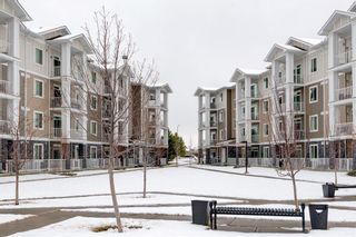 Photo 26: 3307 522 Cranford Drive SE in Calgary: Cranston Apartment for sale : MLS®# A1207986