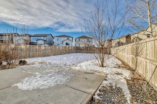 Photo 47: 681 Panatella Boulevard NW in Calgary: Panorama Hills Detached for sale : MLS®# A2018696