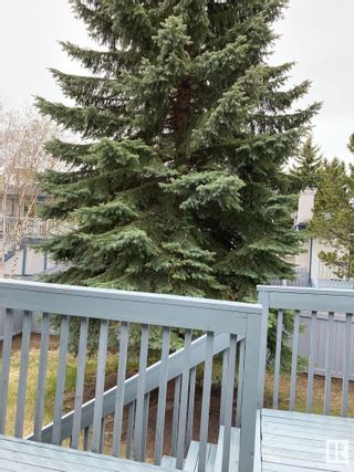 Photo 3: 178 Oeming Road NW in Edmonton: Zone 14 Townhouse for sale : MLS®# E4293543
