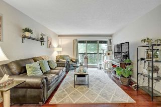 Photo 9: 509 9857 MANCHESTER Drive in Burnaby: Cariboo Condo for sale in "BARCLAY WOODS" (Burnaby North)  : MLS®# R2845746