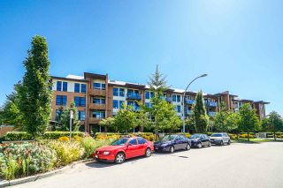 Photo 1: 205 220 SALTER Street in New Westminster: Queensborough Condo for sale in "GLASSHOUSE LOFTS" : MLS®# R2412072