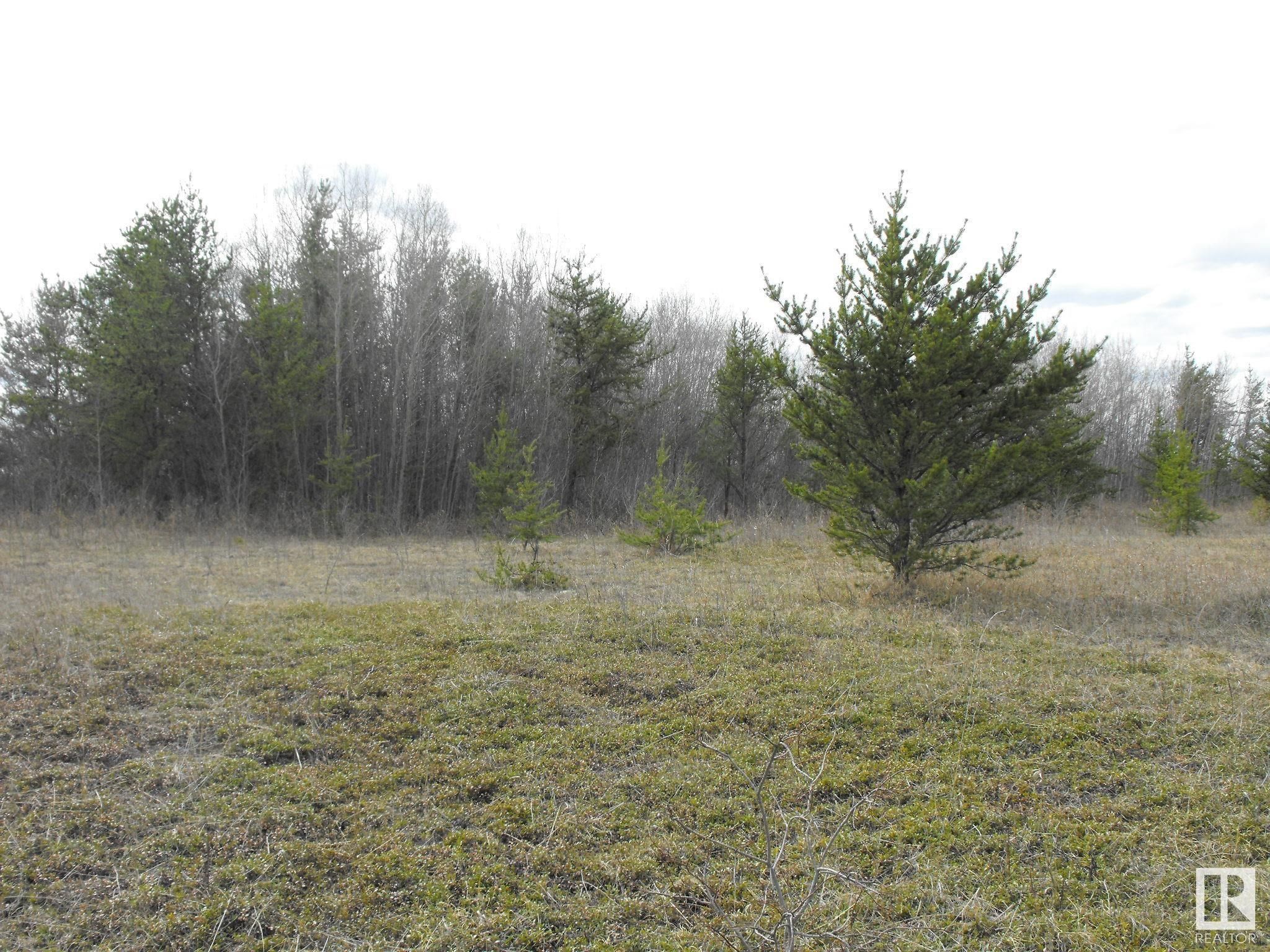 Main Photo: 136 56514 Rg Rd 60: Rural St. Paul County Vacant Lot/Land for sale : MLS®# E4302432