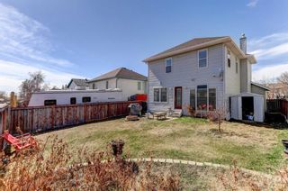 Photo 30: 1058 Coventry Drive NE in Calgary: Coventry Hills Detached for sale : MLS®# A2123570