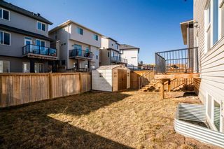 Photo 44: 167 Sherview Grove NW in Calgary: Sherwood Detached for sale : MLS®# A2116001