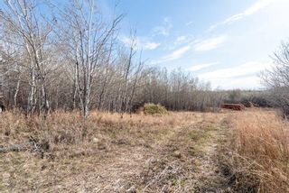 Photo 14: 50251 Rge. Rd. 25 in Rural Vermilion River, County of: Rural Vermilion River County Residential Land for sale : MLS®# A2107926