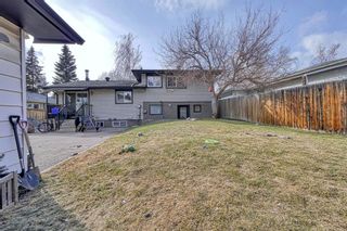 Photo 38: 5908 53 Street NW in Calgary: Dalhousie Detached for sale : MLS®# A2052146
