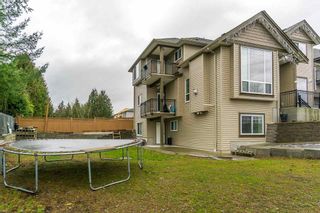 Photo 20: 2 3363 Horn ST in Abbotsford: Central Abbotsford House for sale : MLS®# R2034942