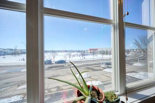 Photo 9: 928 Copperfield Boulevard SE in Calgary: Copperfield Detached for sale : MLS®# A2034517