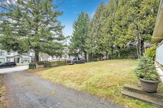 Photo 9: 14137 68 Avenue in Surrey: East Newton House for sale : MLS®# R2745152