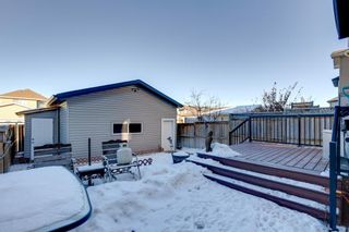 Photo 30: 404 Cranberry Circle SE in Calgary: Cranston Detached for sale : MLS®# A2021203