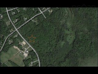 Photo 2: Lot 1 Enfield Road in Nine Mile River: 105-East Hants/Colchester West Vacant Land for sale (Halifax-Dartmouth)  : MLS®# 202320182