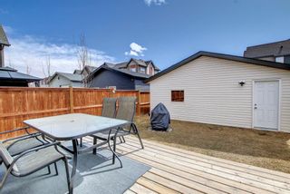 Photo 43: 198 Copperpond Street SE in Calgary: Copperfield Detached for sale : MLS®# A1205857