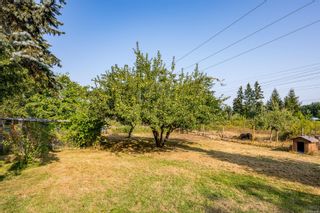 Photo 49: 4356 Camco Rd in Courtenay: CV Courtenay West House for sale (Comox Valley)  : MLS®# 913869