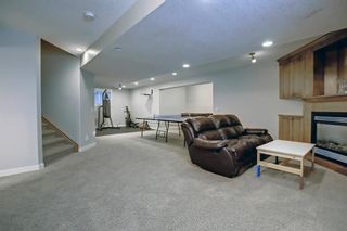 Photo 25: 127 Elgin Park Road SE in Calgary: McKenzie Towne Detached for sale : MLS®# A1220336