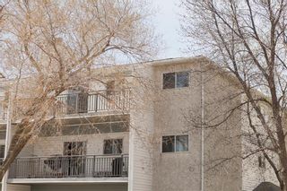 Photo 4: 315 1671 Plessis Road in Winnipeg: Lakeside Meadows Condominium for sale (3K)  : MLS®# 202312650