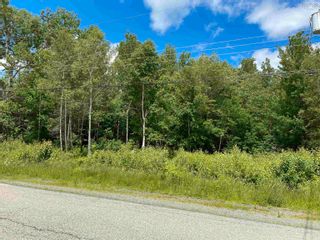Photo 1: Lot 22-1 Pleasant Drive in Lyons Brook: 108-Rural Pictou County Vacant Land for sale (Northern Region)  : MLS®# 202215225
