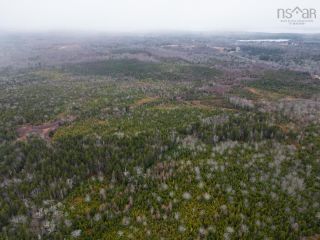 Photo 10: Lot Brazil Lake Road in Brazil Lake: County Hwy 340 Vacant Land for sale (Yarmouth)  : MLS®# 202300630