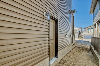 Photo 43: 38 Rowley Park NW in Calgary: C-483 Detached for sale : MLS®# A2046176