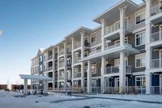 Photo 28: 304 300 Auburn Meadows Common SE in Calgary: Auburn Bay Apartment for sale : MLS®# A1187040