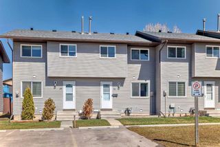 Photo 3: 30 6020 Temple Drive NE in Calgary: Temple Row/Townhouse for sale : MLS®# A2119215