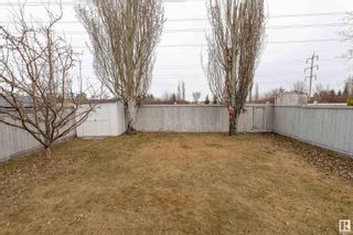 Photo 45: 3703 28 Street in Edmonton: Zone 30 House for sale : MLS®# E4389646