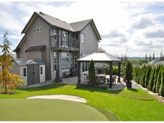 Photo 10: 16926 78A Avenue in Surrey: Fleetwood Tynehead House for sale in "The Links" : MLS®# F1313078