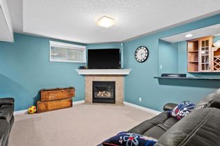 Photo 36: 13 Citadel Crest Place NW in Calgary: Citadel Detached for sale : MLS®# A1232820