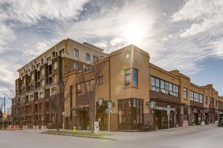 Photo 4: 3 177 9 Street NE in Calgary: Bridgeland/Riverside Apartment for sale : MLS®# A2013197
