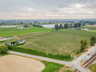Photo 35: 6277 BELL Road in Abbotsford: Matsqui House for sale : MLS®# R2727881
