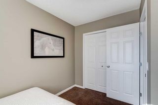Photo 22: 214 Morningside Gardens SW: Airdrie Detached for sale : MLS®# A2088537