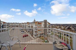 Photo 21: 4411 302 Skyview Ranch Drive NE in Calgary: Skyview Ranch Apartment for sale : MLS®# A2129297
