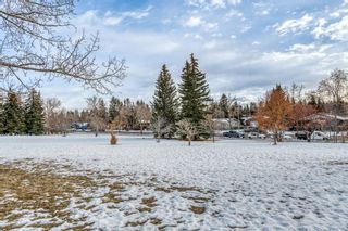 Photo 39: 289 Capri Avenue NW in Calgary: Brentwood Detached for sale : MLS®# A2021584