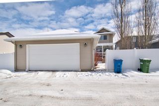 Photo 41: 202 Williamstown Close NW: Airdrie Detached for sale : MLS®# A1070134