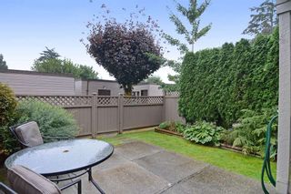 Photo 37: 3336 VINCENT Street in Port Coquitlam: Glenwood PQ Townhouse for sale in "Burkview" : MLS®# R2110578