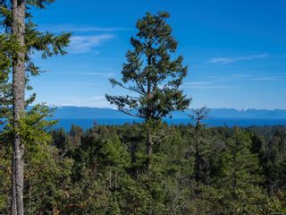 Photo 13: 7390 High Ridge Cres in Lantzville: Na Upper Lantzville Land for sale (Nanaimo)  : MLS®# 896386