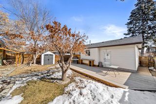 Photo 29: 1113 37 Street SE in Calgary: Forest Lawn Detached for sale : MLS®# A2035855