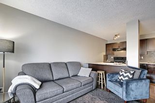 Photo 17: 105 4127 Bow Trail SW in Calgary: Rosscarrock Apartment for sale : MLS®# A1080853