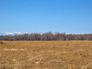 Photo 4: 96 Street  E: Rural Foothills County Land for sale : MLS®# A1094365