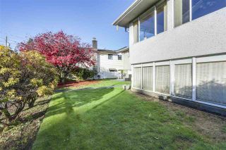 Photo 12: 642 W 52ND Avenue in Vancouver: South Cambie House for sale in "LANGARA" (Vancouver West)  : MLS®# R2336682